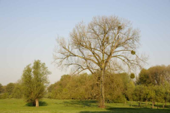 Beispiel 2