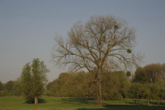 Beispiel 1