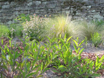 Praerie 20110505.jpg