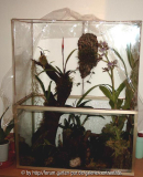 Die alte Vitrine