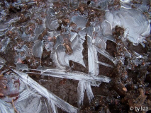 Frostpfütze
