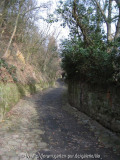 Burgweg_01