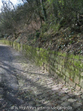 Burgweg_02