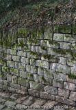 Burgweg_03