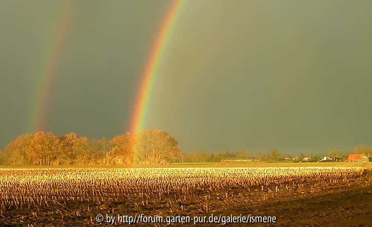 161205_Hagelschauer