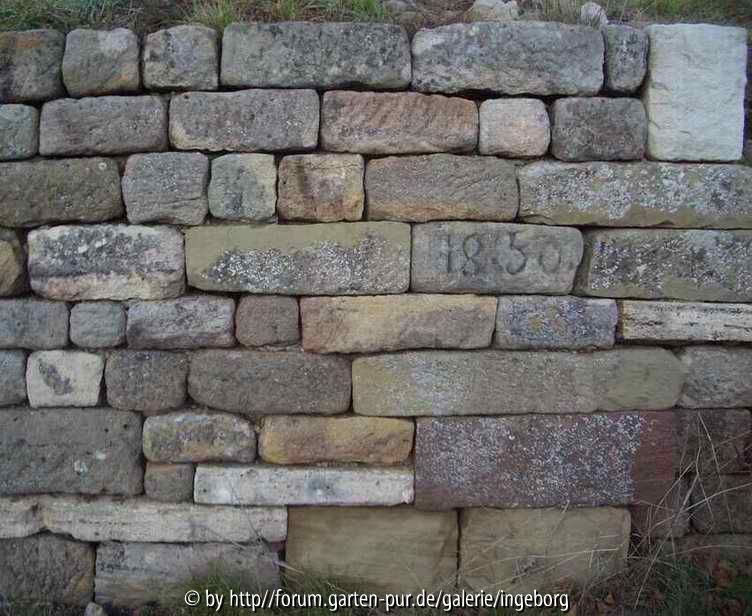Trockenmauer_ix_03