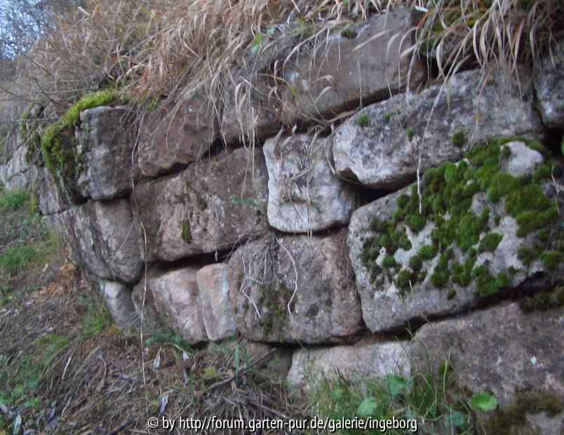 Trockenmauer_ix_05