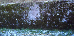 Betonmauer_ix_01