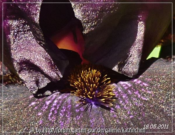 Old Black Magic 2