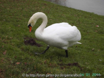 Vorbeispazieren
