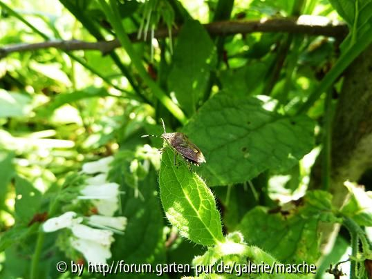 Mutter mit Kindern