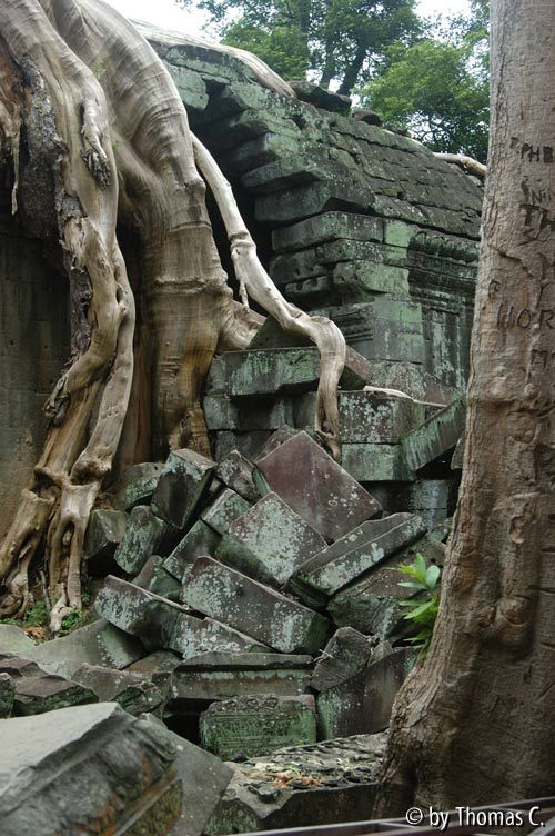 Angkor - Ta Prohm 2