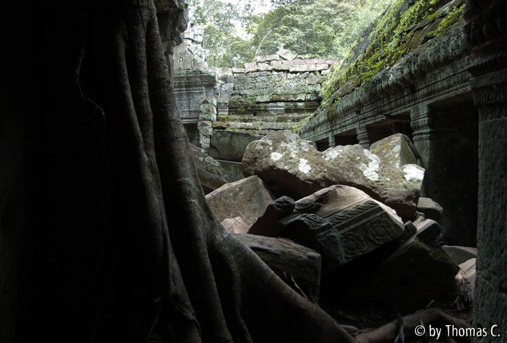 Angkor - Ta Prohm 4