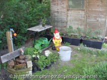 Wasserwerk Tomaten.JPG