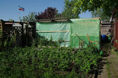 2011tomatenhaus.jpg