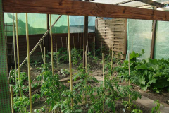 2011_innen_tomatenhaus.jpg