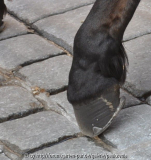 18-55