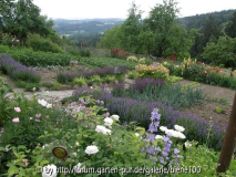 Gemüsegarten im Mai.JPG