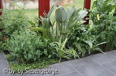 Wintergarten im Mai