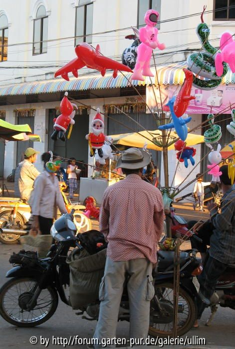 Kratie8
