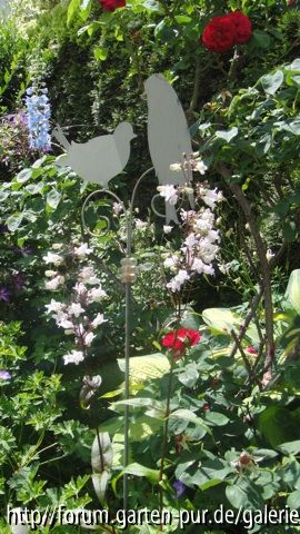 Bartfaden mit Rose