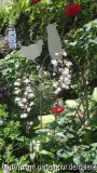 Bartfaden mit Rose