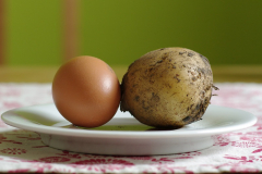 erste_kartoffeln.jpg