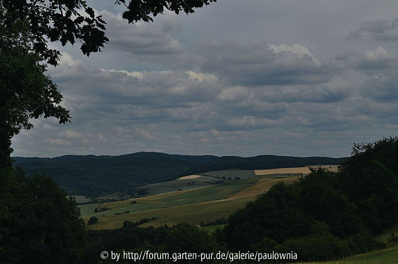 Stahlberg 4