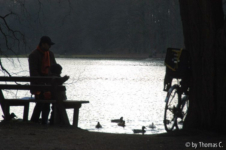 Weihnachtsspaziergang 08: Adenauerweiher