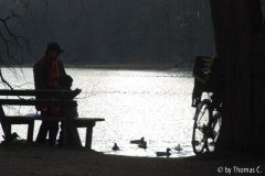 Weihnachtsspaziergang 08: Adenauerweiher