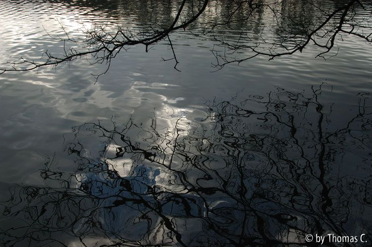 Weihnachtsspaziergang 09: Dezember-Spiegelung