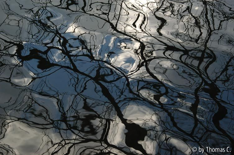 Weihnachtsspaziergang 10: Dezember-Spiegelung