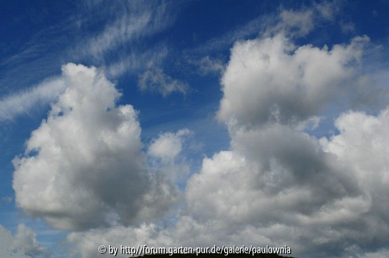 Wolken 23