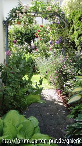 Hostas mit Bogen