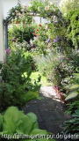 Hostas mit Bogen