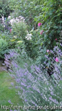 Blumenbeet gen süden