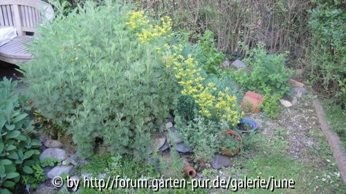 Kräuterspirale im Juni