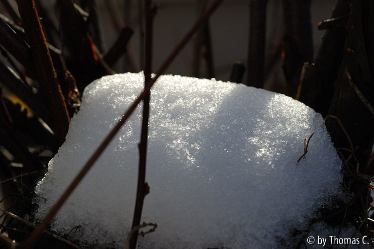 Schneekristalle im Tauwetter 1