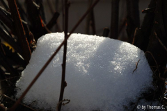 Schneekristalle im Tauwetter 1