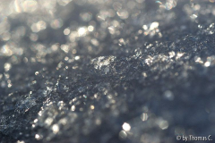 Schneekristalle im Tauwetter 3