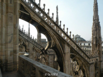 Auf dem Mailänder Dom
