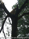 Unwetter 28-06-2011 (1)