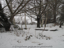 Pachtgarten Jan.2006 007.jpg
