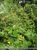 Oval rechts.JPG