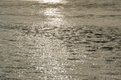 Rheinspaziergang 03: Gleißendes Dezemberwasser