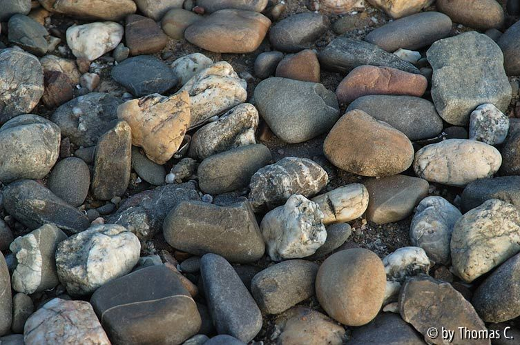 Rheinspaziergang 19: Kiesel