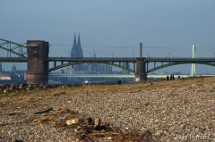 Rheinspaziergang 26: Domblick mit Süd- und Severinsbrücke