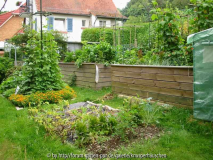 Gemüsegarten Juli 2011 3.jpg