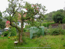 Gemüsegarten Juli 2011 2.jpg