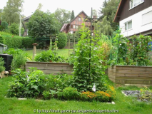 Gemüsegarten Juli 2011 1.jpg